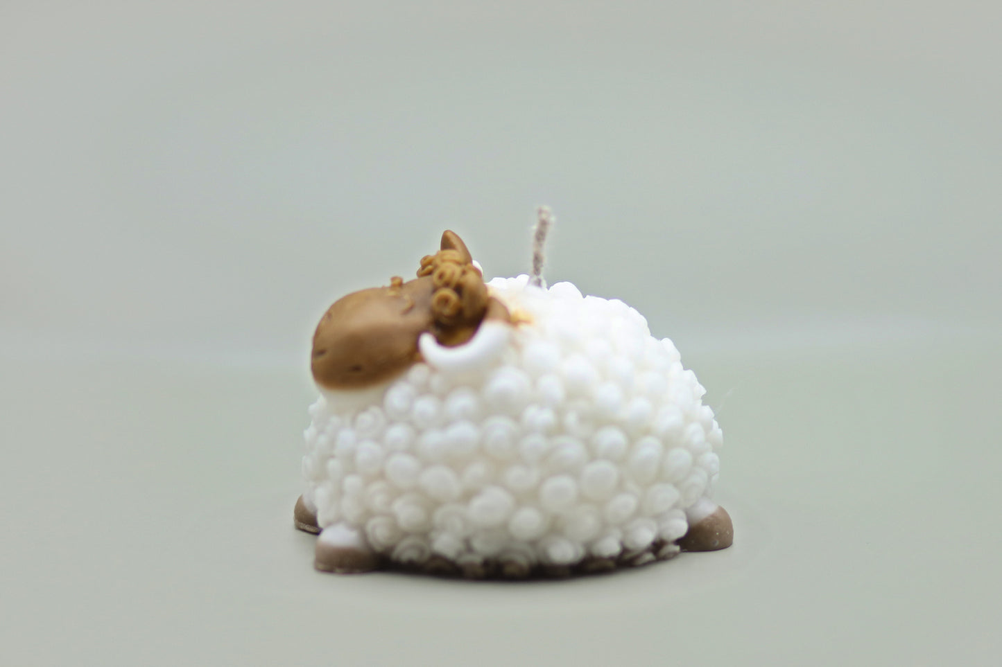 Baa-ble Light
